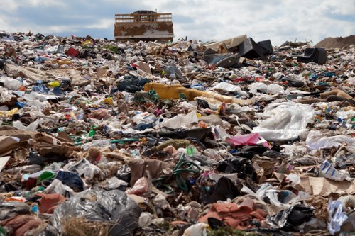 Professional waste removal service in Edmonton